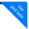 Gói phổ biến