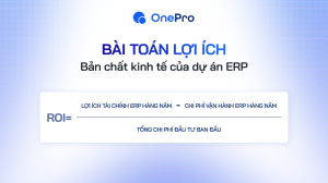 bản chất kinh tế ERP